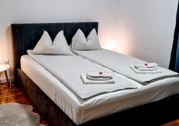 Emanoil Gojdu Apartment | Apartament Alina - la parter & parcare rezervata