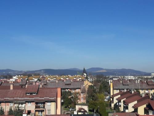 Nowy Sacz Apartment | Apartament Browarna