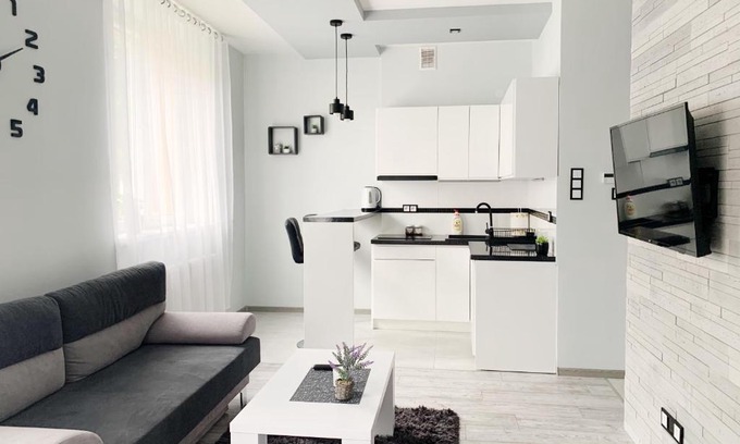 Lancut Apartment | Apartament Chyba Śnisz Łańcut