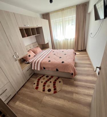 Dorohoi Apartment | Apartament cu o cameră