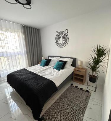 gmina Parzeczew Apartment | Apartament Dobrzec