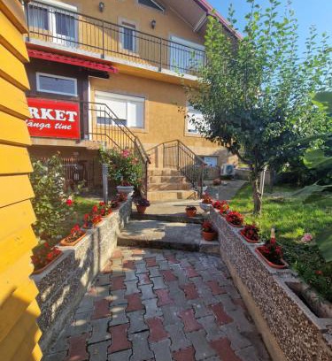 Pascani Apartment | Apartament in vila