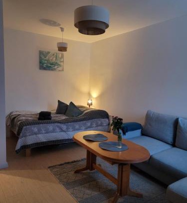 Kowary Apartment | Apartament-Kawalerka