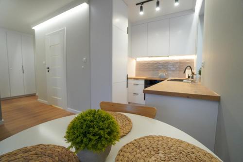 Plock Apartment | Apartament Manhattan