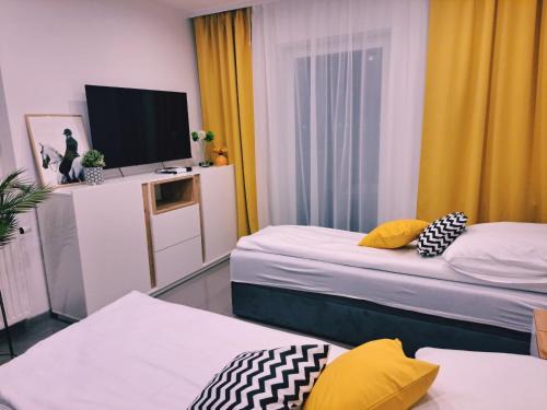 Szamotuy Apartment | Apartament Olimpijski
