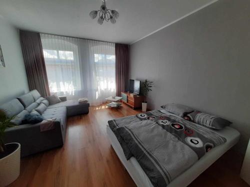 Dabki Apartment | Apartament pod Dębem