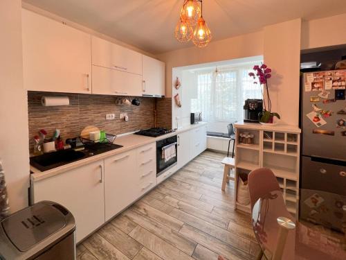 Calimanesti Apartment | Apartament Popescu