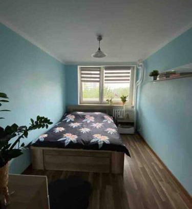 Katowice Apartment | Apartament przy Parku Śląskim