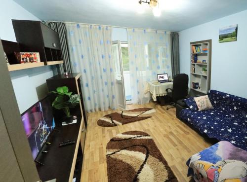 Ramnicu Valcea Apartment | apartament Ramnicu Valcea
