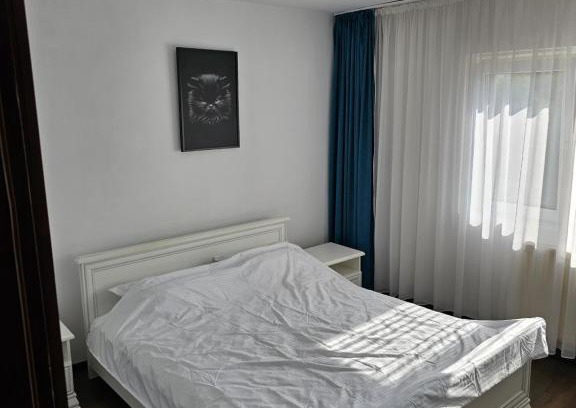 Tirgu Jiu Apartment | Apartament Rebeca Central