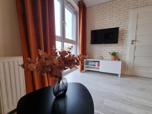 Bydgoszcz Apartment | Apartament Rudy Zakątek w Centrum Bydgoszczy