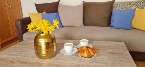 Jelenia Gora Apartment | Apartament rustykalny