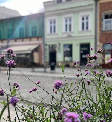 Krosno Apartment | Apartament Rynek 17