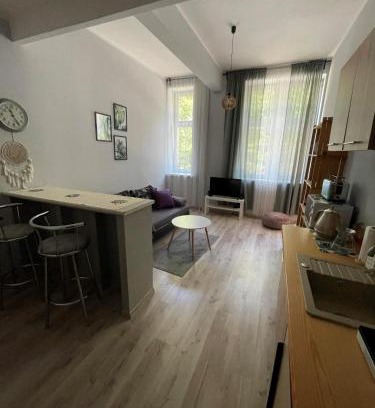 Jedlina-Zdroj Apartment | Apartament Snooze