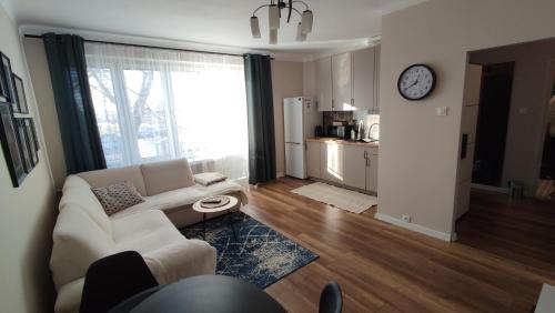Wloclawek Apartment | Apartament typu studio