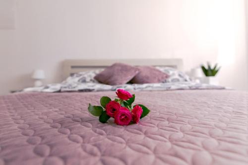 Polanica-Zdroj Apartment | Apartament u Andrzeja