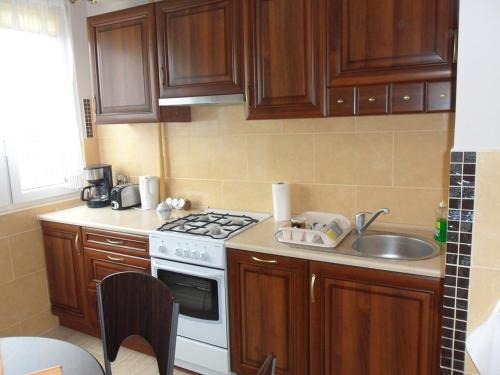 Psie Pole Apartment | Apartament Widokowy
