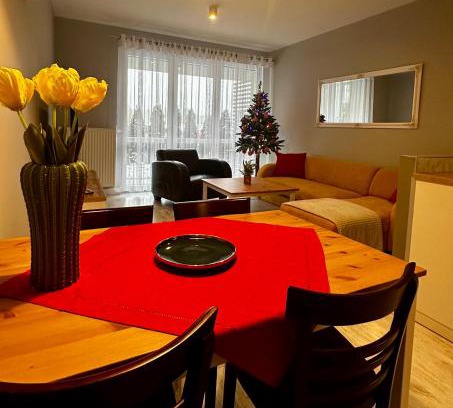 Bielsko-Biala Apartment | Apartament z widokiem na Szyndzielnię