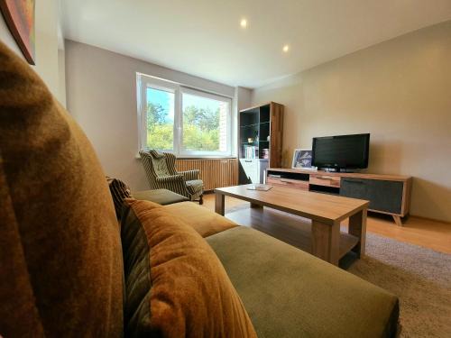 Druskininkai Apartment | Apartamentai ŠERMUKŠNIS