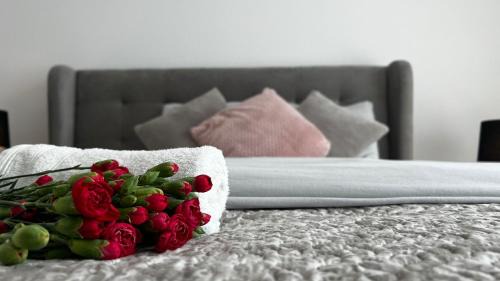 Katowice Apartment | Apartaments Centrum Katowice