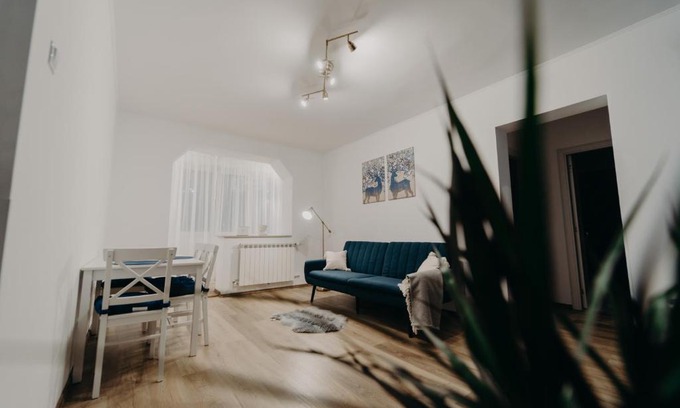 Vatra Dornei Apartment | Apartamentul Albastru