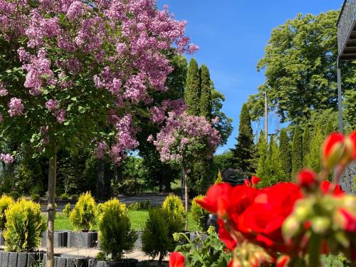 Mragowo Apartment | Apartamenty Arkadia przy Amfiteatrze
