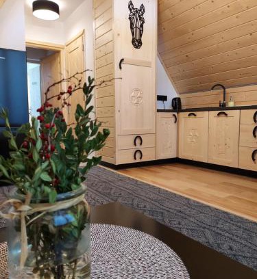 Zakopane Apartment | Apartamenty - Droga do Walczaków 37a