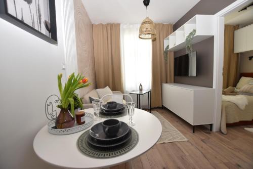 Walbrzych Apartment | Apartamenty K netflix wi-fi gratis