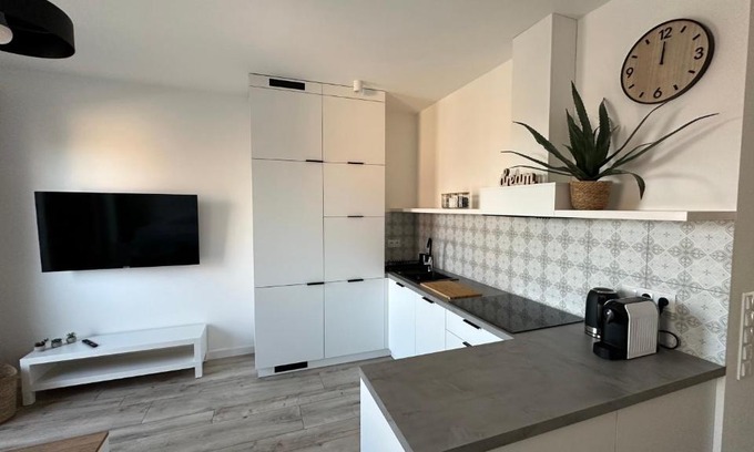 Srem Apartment | Apartamenty Mickiewicza40