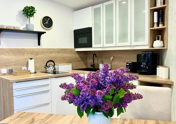 Doksy Apartment | Apartmán DOME C