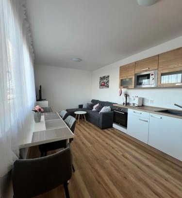 Cerna V Posumavi Apartment | Apartmán Roda2 Malé Lipno