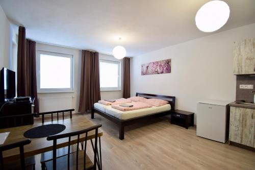 Trencin Apartment | Apartmán Zlatovská 22B