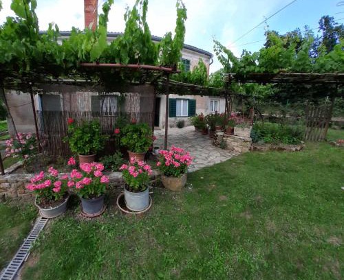 Secovlje House | Apartma Fiorina