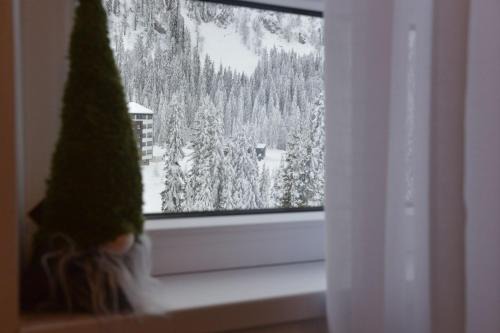 Jahorina Apartment | Apartman Bella Vista Jahorina - pogled na stazu