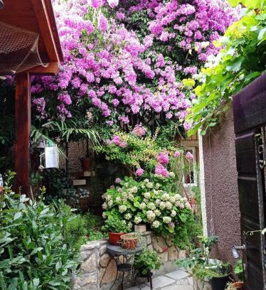 Cres House | Apartman i Sobe Čule Cres