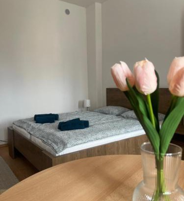 Jicin Apartment | Apartman VAJB