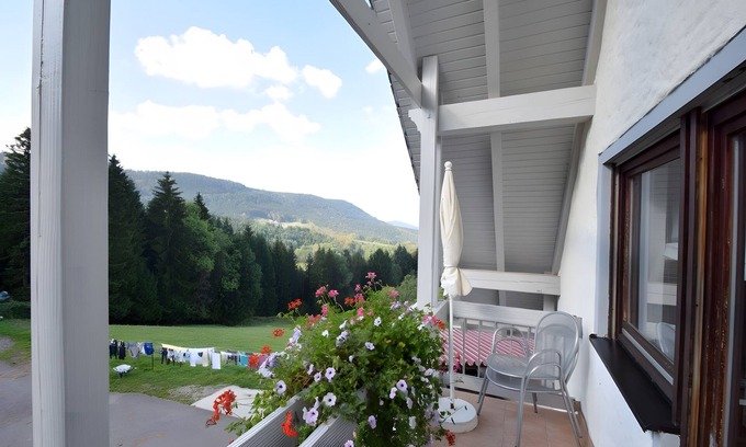 Bad Peterstal-Griesbach Apartment | Apartment '2' with Mountain View, Shared Terrace and Wi-Fi