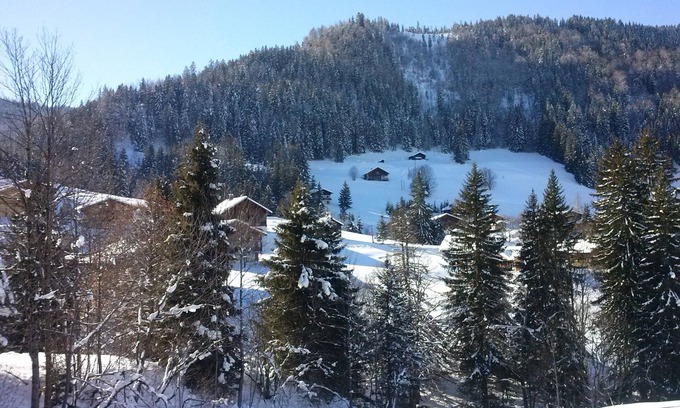La Clusaz Apartment | Apartment (01/2016) quiet and warm with private garage