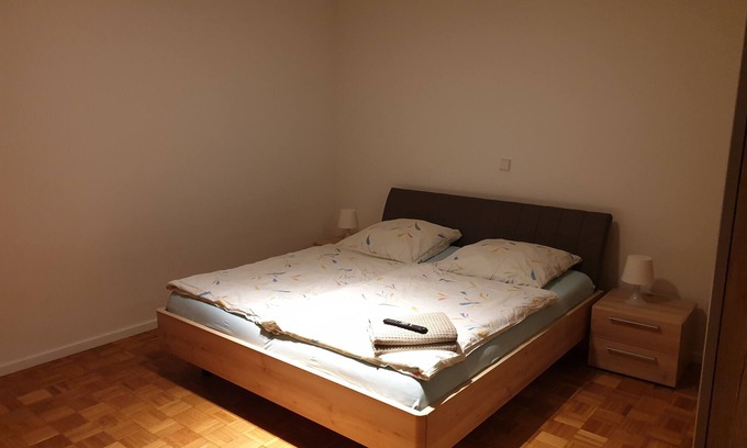 Reichenbach Apartment | Apartment at the spa park