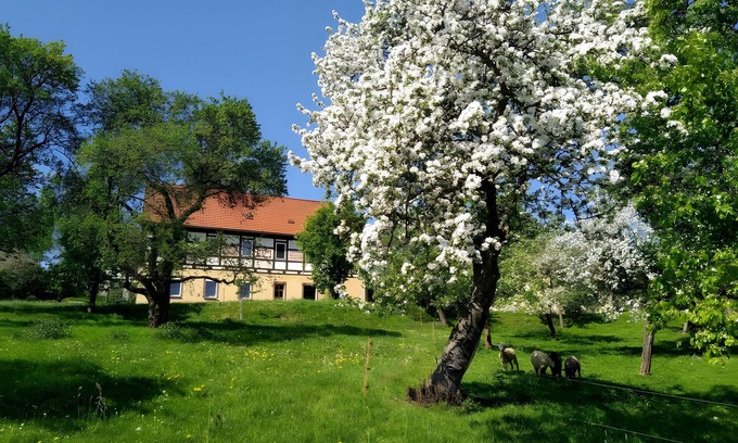 Waschleithe Apartment | Apartment 'Böhme' with Mountain View, Private Terrace and Wi-Fi