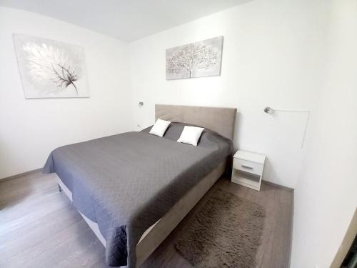 Slavonski Brod Apartment | Apartment Centar