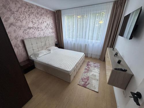 Onesti Apartment | Apartment Central