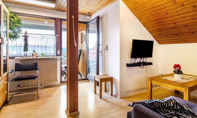 Bingen Apartment | Apartment 'Dachwohnung Schneider Bingen' with Balcony, Wi-Fi and Air Conditioning