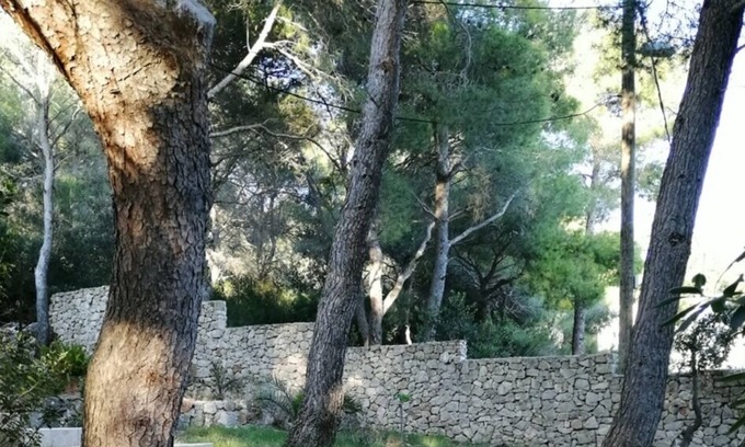 Rukavac Apartment | Apartment Eli - for nature lovers: A1(4+1) - Cove Rukavac, Island Vis, Croatia