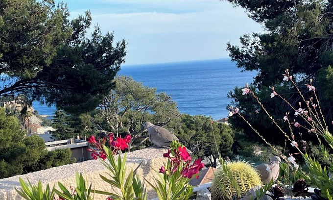 Cassis Apartment | Apartment/flat - Cassis
