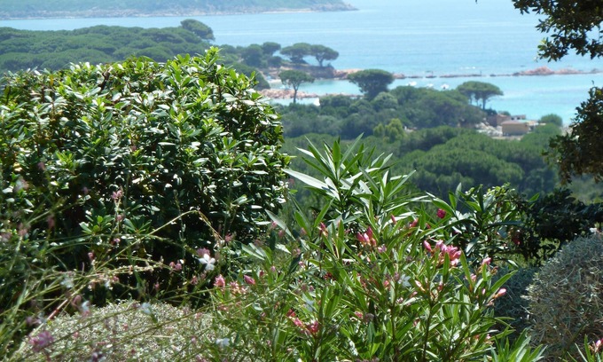 Hameau de Palombaggia Apartment | Apartment for 4 persons in Corsica (S/O) with sea view