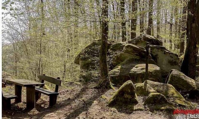 Munchweiler an der Rodalb House | apartment Haus Renate Palatinate Forest