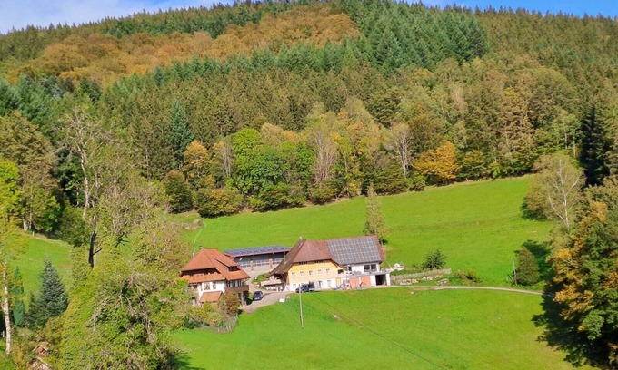 Wolfach Apartment | Apartment 'Hof' with Mountain View, Private Terrace and Wi-Fi