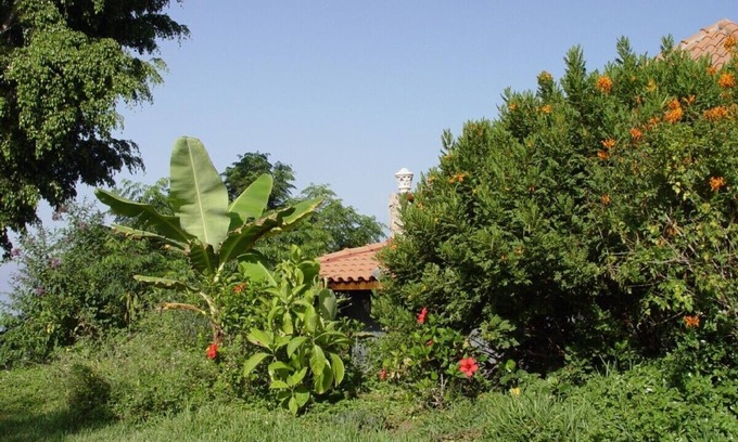 Guia de Isora House | Apartment in country house with tropical garden and pool 2 bedrooms