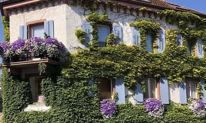 Oberrotweil Apartment | Apartment in Oberrotweil